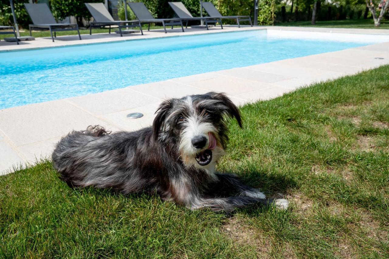 B&B L'Oree Du Bois Bourgogne - Adults Only Saint-Nicolas-les-Citeaux ภายนอก รูปภาพ